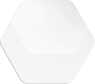 hexagon_1 10