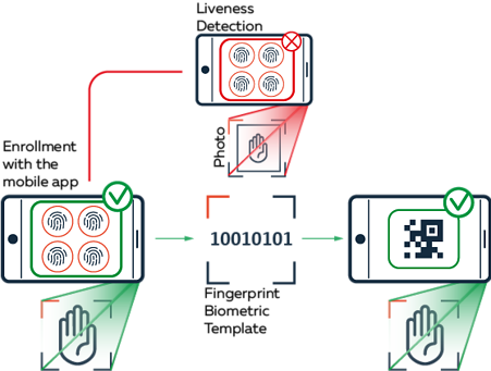 Graphic of process of digital self-onboarding citizens to provide personal data in a fast and secure way and receive their “Digital immunity passport”